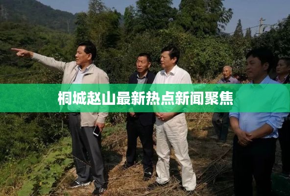 桐城趙山最新熱點新聞聚焦