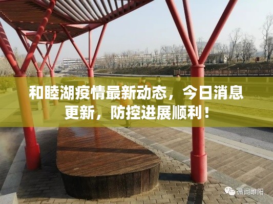 和睦湖疫情最新動態,今日消息更新,防控進展順利!