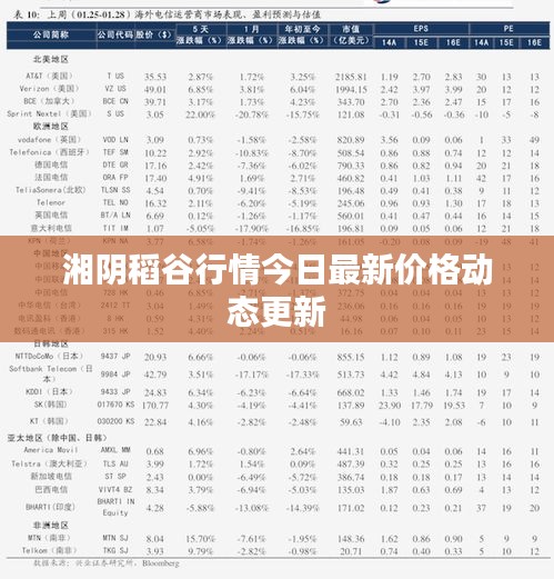 湘陰稻谷行情今日最新價格動態(tài)更新