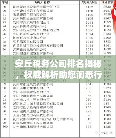 安丘稅務公司排名揭秘,權威解析助您洞悉行業格局