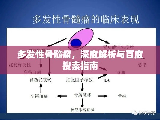 多發性骨髓瘤,深度解析與百度搜索指南