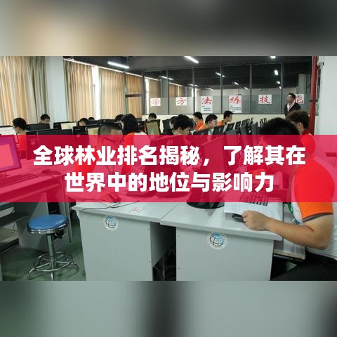 全球林業排名揭秘,了解其在世界中的地位與影響力