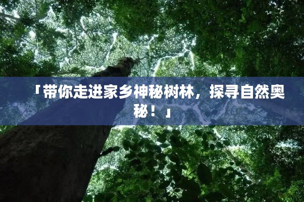 「帶你走進家鄉神秘樹林,探尋自然奧秘!」