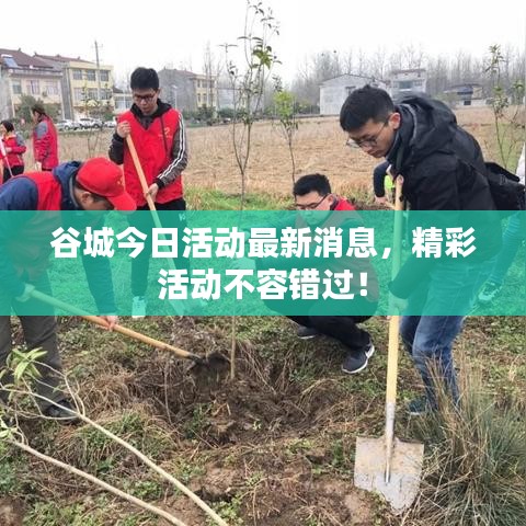 谷城今日活動最新消息,精彩活動不容錯過!