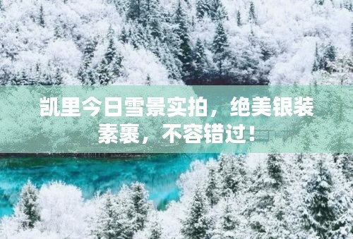 凱里今日雪景實拍,絕美銀裝素裹,不容錯過!