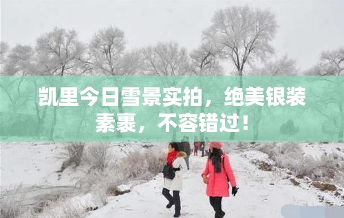 凱里今日雪景實拍,絕美銀裝素裹,不容錯過!