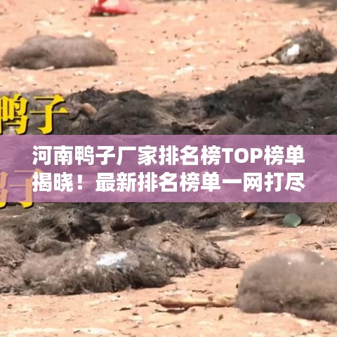 河南鴨子廠家排名榜TOP榜單揭曉！最新排名榜單一網打盡！