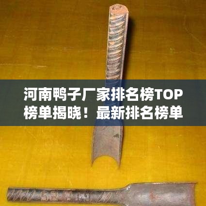 河南鴨子廠家排名榜TOP榜單揭曉!最新排名榜單一網(wǎng)打盡!