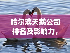 哈爾濱天鵝公司排名及影響力,揭秘其在當?shù)厥袌龅牡匚慌c影響力