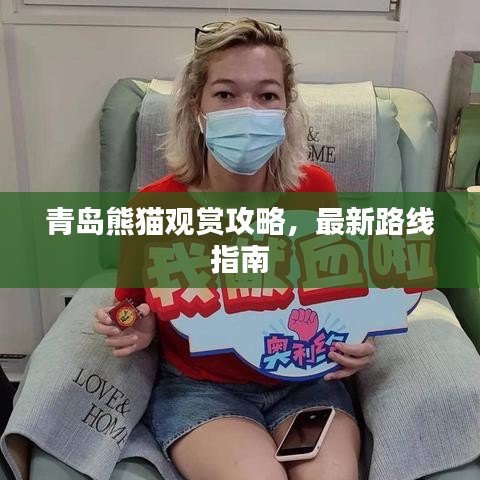 青島熊貓觀賞攻略,最新路線指南