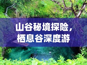 山谷秘境探險,棲息谷深度游攻略