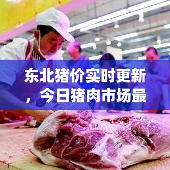 寥若晨星 第3頁