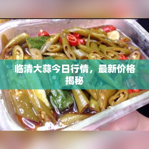 臨清大蒜今日行情,最新價格揭秘