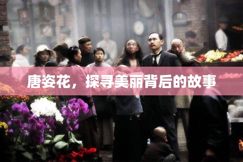 唐姿花，探尋美麗背后的故事