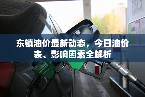 東鎮油價最新動態，今日油價表、影響因素全解析