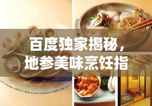 百度獨家揭秘，地參美味烹飪指南與技巧大全