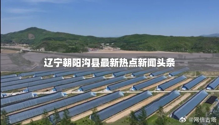 遼寧朝陽(yáng)溝縣最新熱點(diǎn)新聞?lì)^條