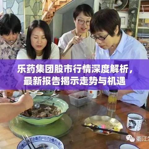 樂藥集團股市行情深度解析，最新報告揭示走勢與機遇