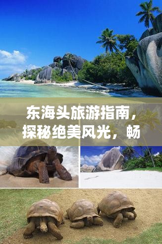 東海頭旅游指南,探秘絕美風光,暢游夢幻之旅!