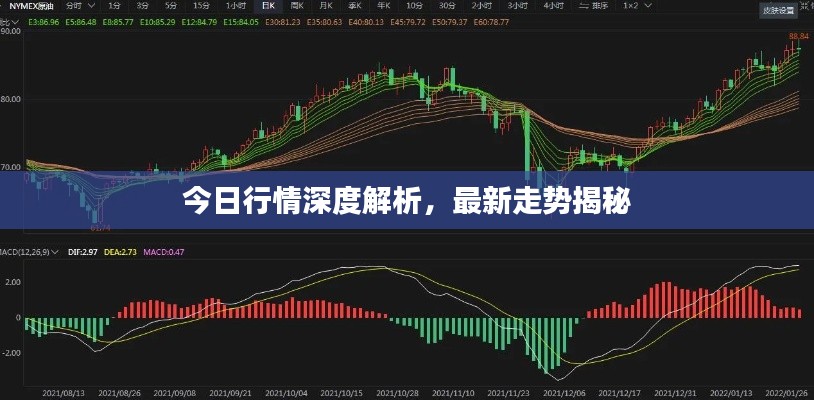 今日行情深度解析,最新走勢揭秘