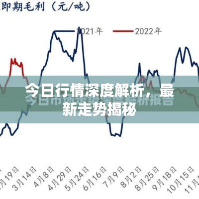 今日行情深度解析,最新走勢揭秘