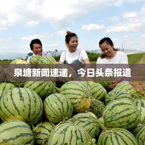 泉塘新聞速遞,今日頭條報道