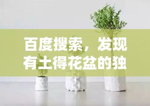 百度搜索,發(fā)現(xiàn)有土得花盆的獨特魅力