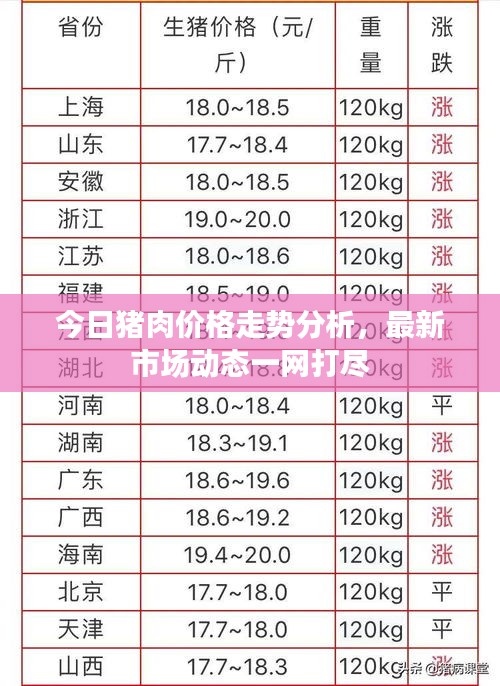 今日豬肉價(jià)格走勢(shì)分析,最新市場(chǎng)動(dòng)態(tài)一網(wǎng)打盡