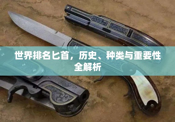 世界排名匕首，歷史、種類與重要性全解析