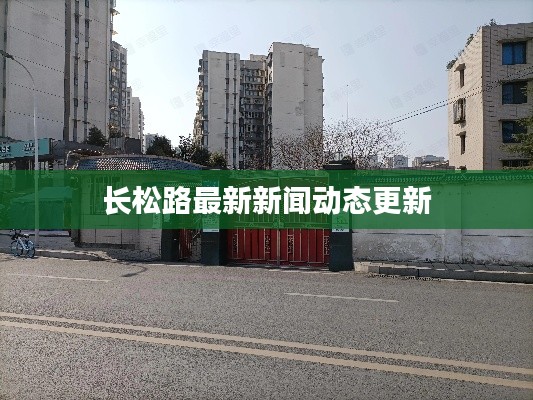 長松路最新新聞動態(tài)更新