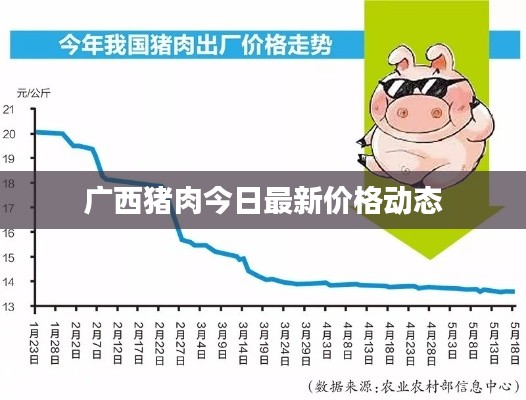 廣西豬肉今日最新價格動態