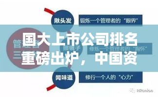 國大上市公司排名重磅出爐,中國資本市場龍頭企業全景解析