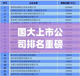 國大上市公司排名重磅出爐,中國資本市場(chǎng)龍頭企業(yè)全景解析