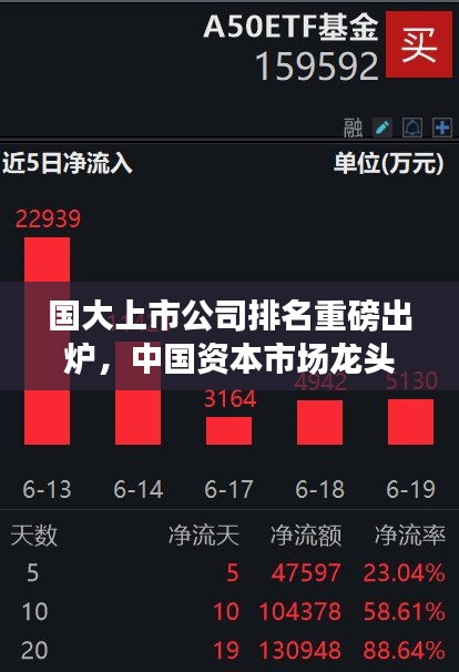 國大上市公司排名重磅出爐,中國資本市場(chǎng)龍頭企業(yè)全景解析