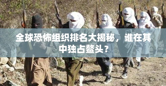 全球恐怖組織排名大揭秘,誰在其中獨占鰲頭?