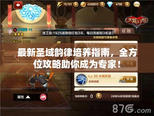 最新圣域韻律培養指南,全方位攻略助你成為專家!