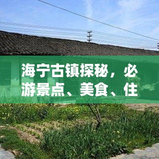 海寧古鎮探秘，必游景點、美食、住宿全攻略！