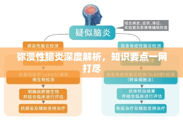 彌漫性腦炎深度解析,知識要點一網打盡