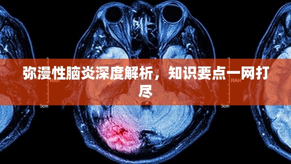彌漫性腦炎深度解析,知識(shí)要點(diǎn)一網(wǎng)打盡