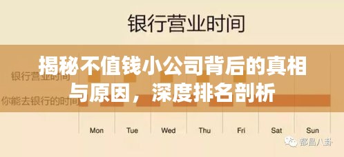 揭秘不值錢小公司背后的真相與原因，深度排名剖析
