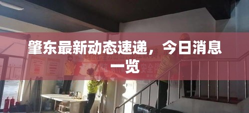 肇東最新動態(tài)速遞,今日消息一覽