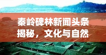 夫妻本是同 第3頁