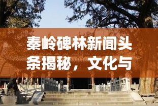 秦嶺碑林新聞頭條揭秘,文化與自然的和諧交融之旅