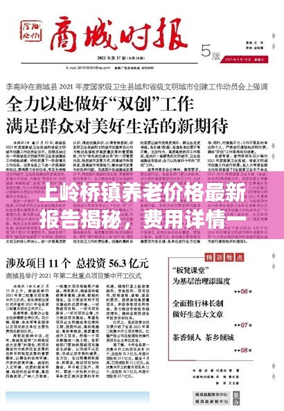 上嶺橋鎮養老價格最新報告揭秘,費用詳情一網打盡