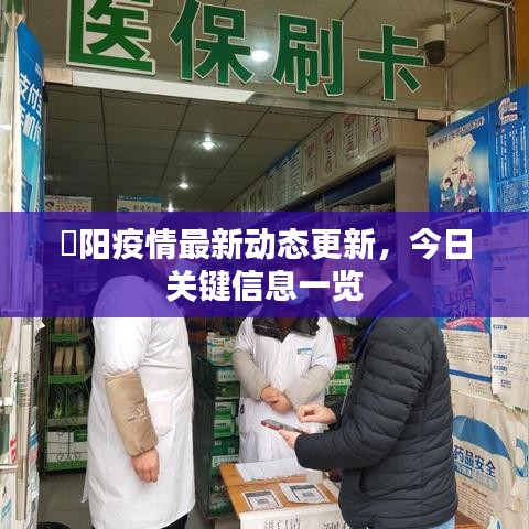 徳陽疫情最新動態更新,今日關鍵信息一覽