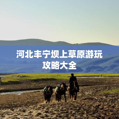 河北豐寧壩上草原游玩攻略大全