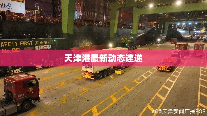 天津港最新動態速遞