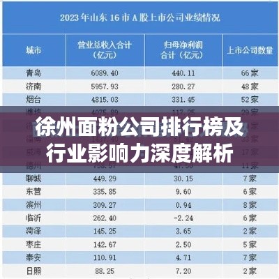 徐州面粉公司排行榜及行業(yè)影響力深度解析