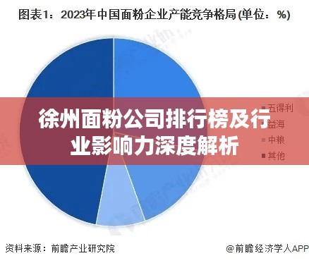徐州面粉公司排行榜及行業(yè)影響力深度解析