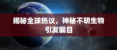 揭秘全球熱議,神秘不明生物引發矚目